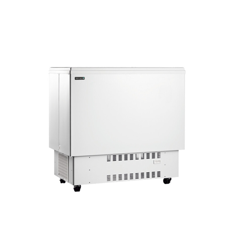 Refrigerador Baú para Bebidas Branco 226 L TEFCOLD - Frio & Armazenamento Refrigerador Baú para Bebidas Branco 226 L TEFCOLD - Frio & Armazenamento