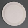 Pratos Ovais Compostáveis em Bagasse 316mm - Pacote de 50, Entrega Rápida, Alta Qualidade