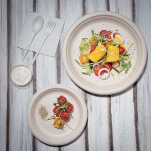 Pratos Ovais Compostáveis em Bagasse 316mm - Pacote de 50, Entrega Rápida, Alta Qualidade