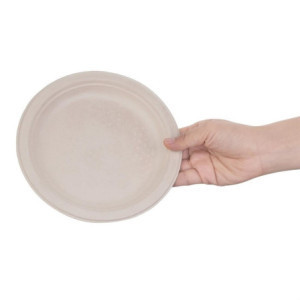 Pratos redondos compostáveis de bagaço natural - Conjunto de 50, 260mm