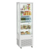 Vitrina Refrigerada Profissional - 235 L
