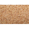 Grãos de Milho - 3 Kg - Bartscher