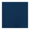 Guardanapo de Mesa de Papel Azul 2 Dobras 300 x 300 mm - Pacote de 1500 - FourniResto - Fourniresto