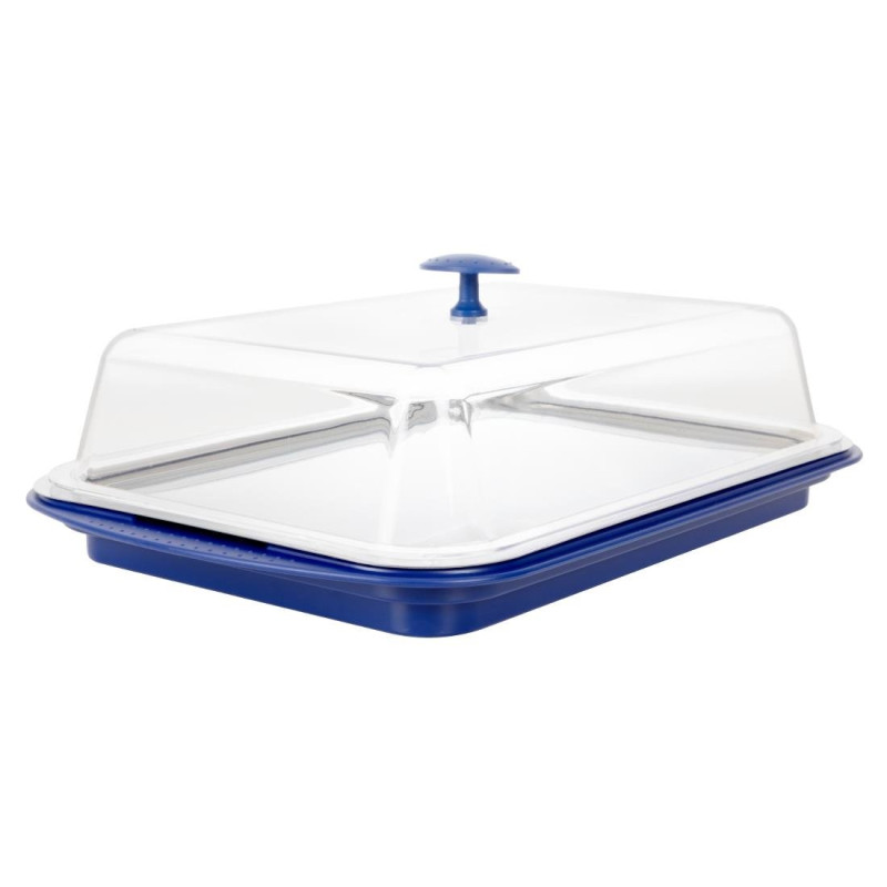 Tabuleiro de apresentação refrigerado com tampa - APS - Fourniresto Tabuleiro de apresentação refrigerado com tampa - APS - Fourniresto