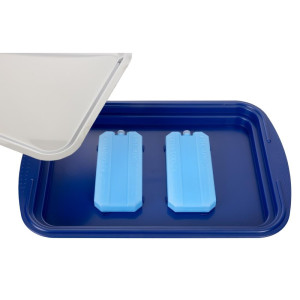 Tabuleiro de apresentação refrigerado com tampa - APS - Fourniresto