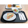 Tabuleiro de serviço automático antracite Olympia 340 x 450 mm - Resistente e elegante