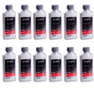 Descalcificante Máquina de Café 250 ml - Lote de 12 Frascos - Saeco
