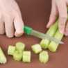 Faca de Cozinha Verde Lâmina 7,5 cm - Hygiplas - Fourniresto