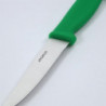 Faca de legumes verde lâmina 10 cm - Hygiplas - Fourniresto