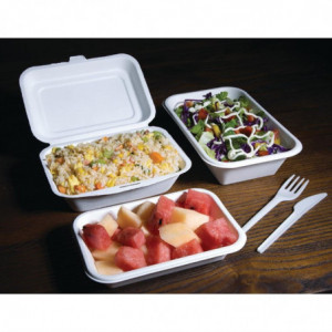 Barquetes de Bagasse Compostáveis - L 215 mm - Pacote de 50 - Fiesta Green